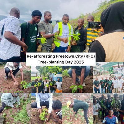 reafforestingfc's profile picture. @reafforestingfc, an initiative of @r360si, aims to promote reforestation and afforestation in the Western Area of Sierra Leone.
