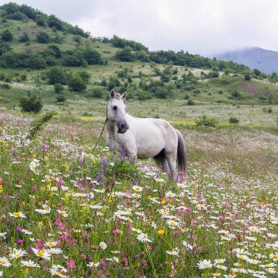 HaigLucas's profile picture. 