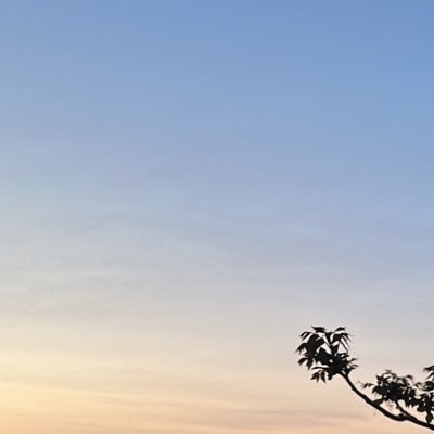 pornandbjs's profile picture. Am I allowed to post Drakes meat?🦉/ DM for Promo Follow and Comment