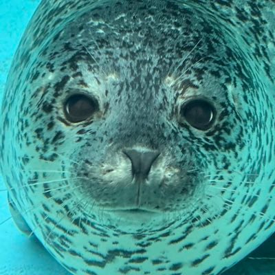 りくつきあまねさんのプロフィール画像