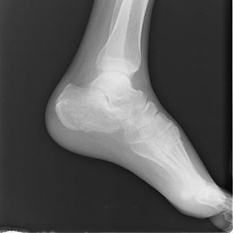 ikasukakato's profile picture. CH