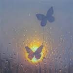 Everyone is a star, it doesn't matter if it's a little darker