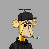No Name (@urn0name) 's Twitter Profile