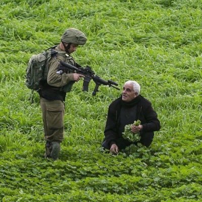 _nomeaning's profile picture. 