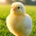 ˣᶤˣ (@xix1t) Twitter profile photo ˣᶤˣ (@xix1t) Twitter profile photo