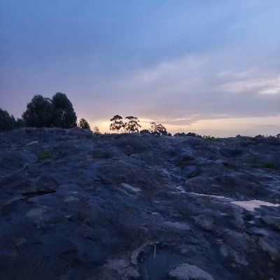 JusperK3's profile picture. Pets 🐶|Nature 🌲| Junior Network Eng.|