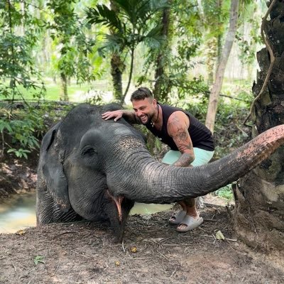 Mich4el_7's profile picture. Traveler, animal lover, nature and investing.