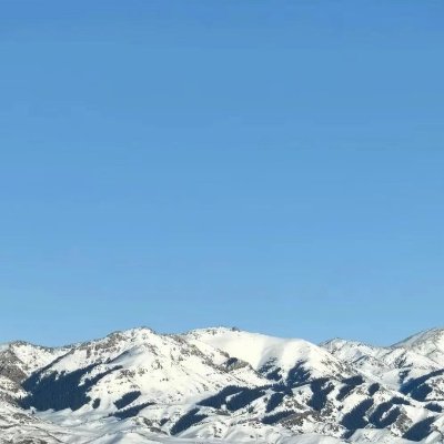 ReneaShawna's profile picture. 