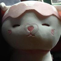 Susisusan (@sanslaluwin) 's Twitter Profile