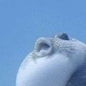 minjujikim30035's profile picture. 