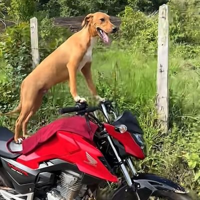 PhillipGeorge99's profile picture. 