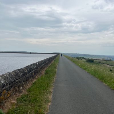 MrRayMooney's profile picture. bit of this and that