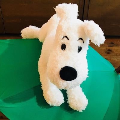 佐田さんのプロフィール画像