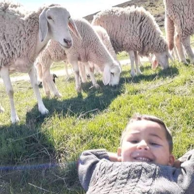 بلدي الجزائر 🇩🇿 ديني الإسلام ☪️ و لي وطنٌ آليتُ ألا أبيعَهُ و ألا أرى غيري له الدهر https://t.co/hdxzcgeiOL