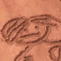 국화과의 여러해살이풀 (@handdlion) 's Twitter Profile