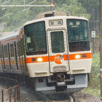 tounyu_tamago's profile picture. 鉄道、航空機、バス等を撮ってます
撮影機材　SONYα7Ⅲ&NEX5R
外出時に多くツイートします