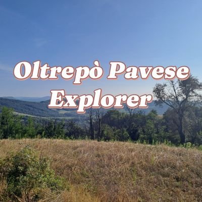 OltrepoExplorer's profile picture. Exploring the true heart of Oltrepò Pavese 🇮🇹
Wine, villages, hills & tradition 🍷⛰️
Hidden Italy starts here.