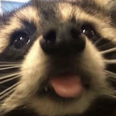 lunaamor327's profile picture. 