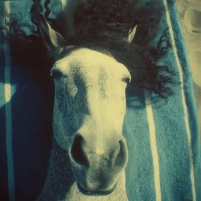 ACastelblanco's profile picture. Happener