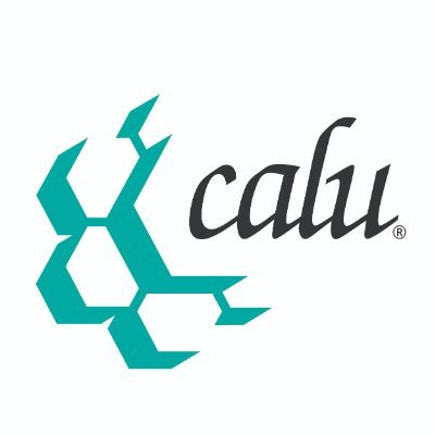 The Conference for Advanced Life Underwriting (CALU) is Canada’s professional association for leaders in the life insurance and financial advisory industry.