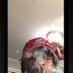 IGetDatGwuap (@kaybandz23) Twitter profile photo IGetDatGwuap (@kaybandz23) Twitter profile photo