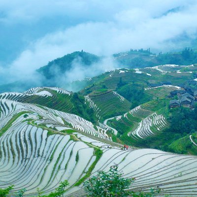 ReadWiki's profile picture. Michael