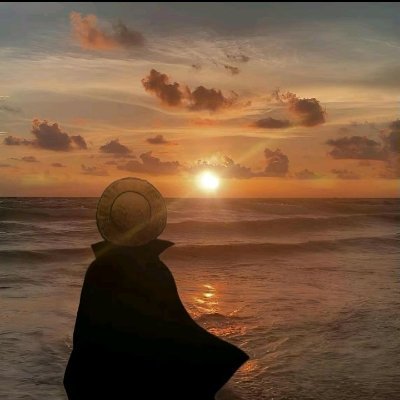 vegapunk_27's profile picture. 