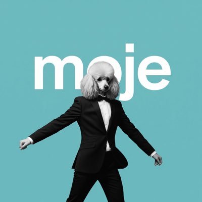 mojet55's profile picture. スーツプードルの零細企業経営