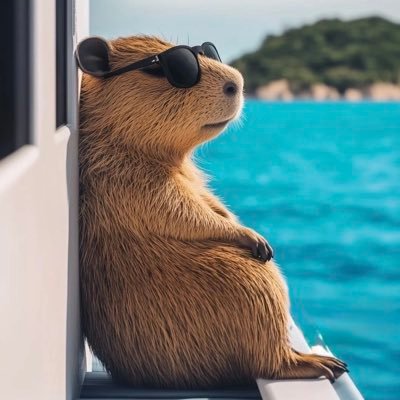 Temmytee1111's profile picture. I am not always sarcastic and rude, I am sometimes sleeping🌚CHELSEA,Ronaldo ,wizkid,Buju,zinoleesky 💙 cruise and no toxic bant