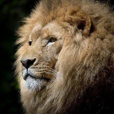 Rana6Grv's profile picture. Crypto lover