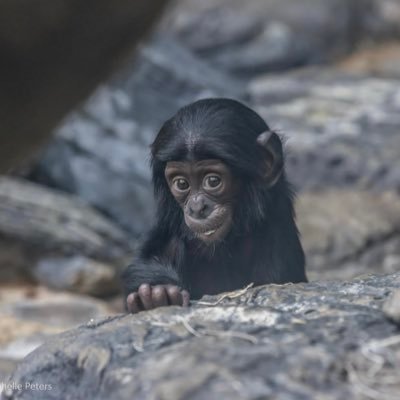 scoumoune Profile