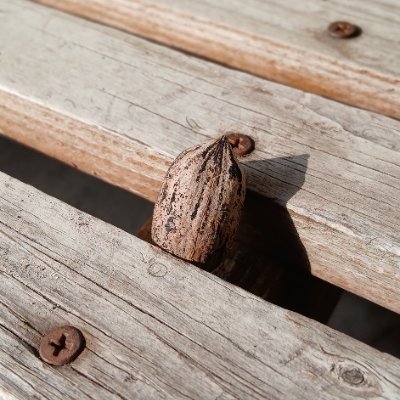 TheAliet11's profile picture. 