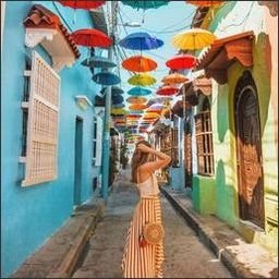 Awlupui718's profile picture. Gods determine what you're going to be。