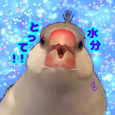 𓅪𓅫❄️ゆかぽん(･Θ･)❄️𓅫𓅪さんのプロフィール画像
