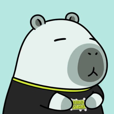 kgn3185's profile picture. Yapper and builder // Developer // Smart Contracts // @Infinex