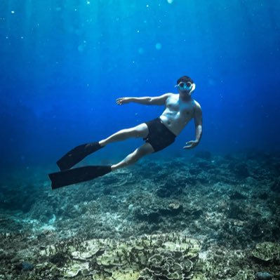 Freediver | Hiker | Traveler. Exploring depths, summits, and the world in between. 🌊🏔️✈️