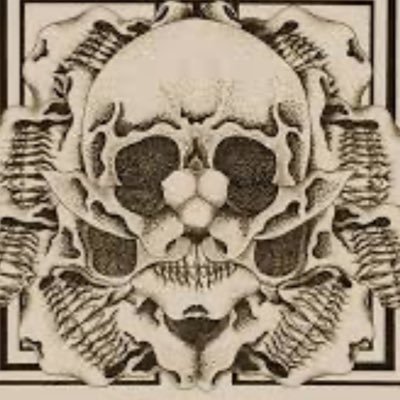 LiberNovusX's profile picture. Free thinker. Freedom above everything. Government is shit. Bitcoin fixes broken money.  ** I block pro-russia and pro-palestine retards and far-left idiots. **