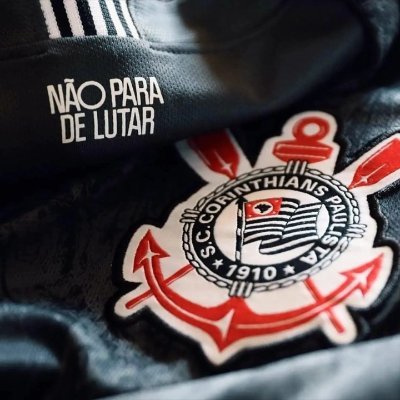Davi72074212829's profile picture. @Corinthians🦅