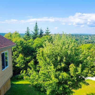 burnergonnabur's profile picture. 