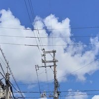 BBBsion (@sionbplus) 's Twitter Profile