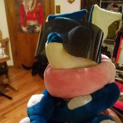 Gojo_Greninja's profile picture. professional attention seeker