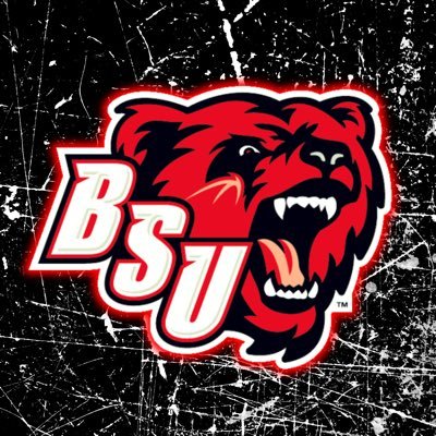 @bsubears