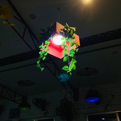 Jack11pp's profile picture. influencer of crypto