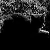 guell (@_s4ntwx) 's Twitter Profile