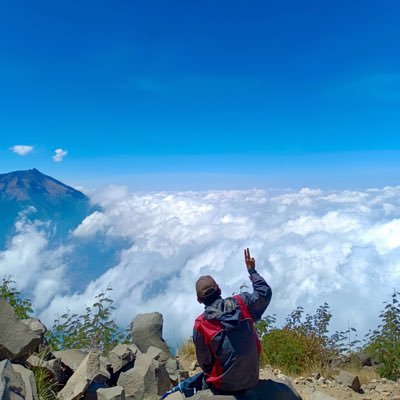 Pacarcinaaa's profile picture. 