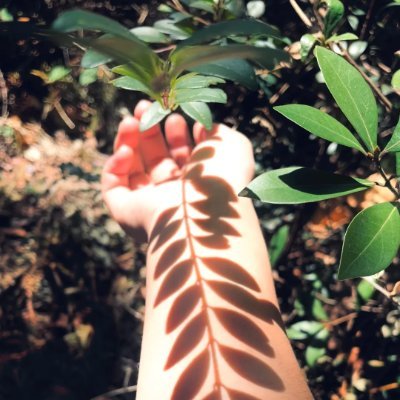 JongktmRJK's profile picture. I'm not making a bet, I'm answering a question: Do I believe the world will get better? My answer has always been: Yes, but be prepared 🚫