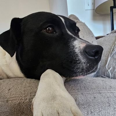 RickyCleva's profile picture. Alchemist, Debaucherer and Cunning Linguist