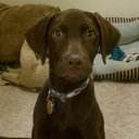 Tucker Max Klein - @TuckerMaxKlein - Twitter