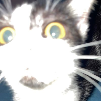 whyooon's profile picture. stressure