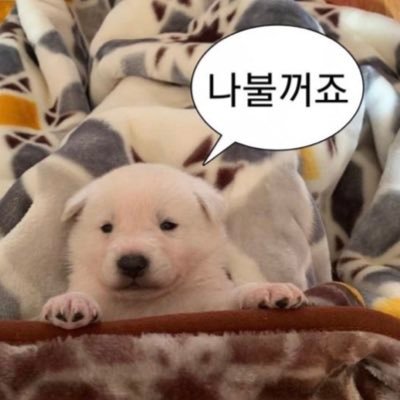 20↑ Adult , 구독 有, 장르+cp 지뢰 없음, 중장르, 1차 BL, Game, 역수한(逆水寒) 디엠+멘션 답 고의 스루 ❌🥹 블언블 님도 나도 알아서 자유 🫂 종이 게이 그거 언제 끊을 수 있는데? 종이 게이에게 돈을 써요